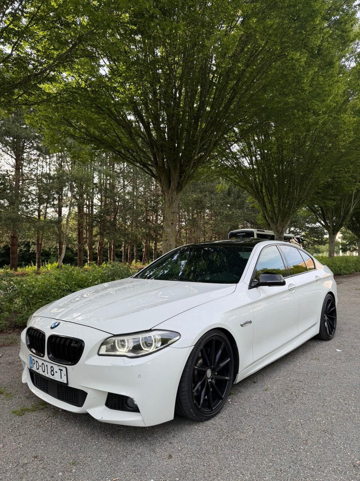 BMW F10 530d 190kw euro6 2013 m packet, Auto's, BMW, Particulier, 5 Reeks, ABS, Diesel, Euro 6, Ophalen