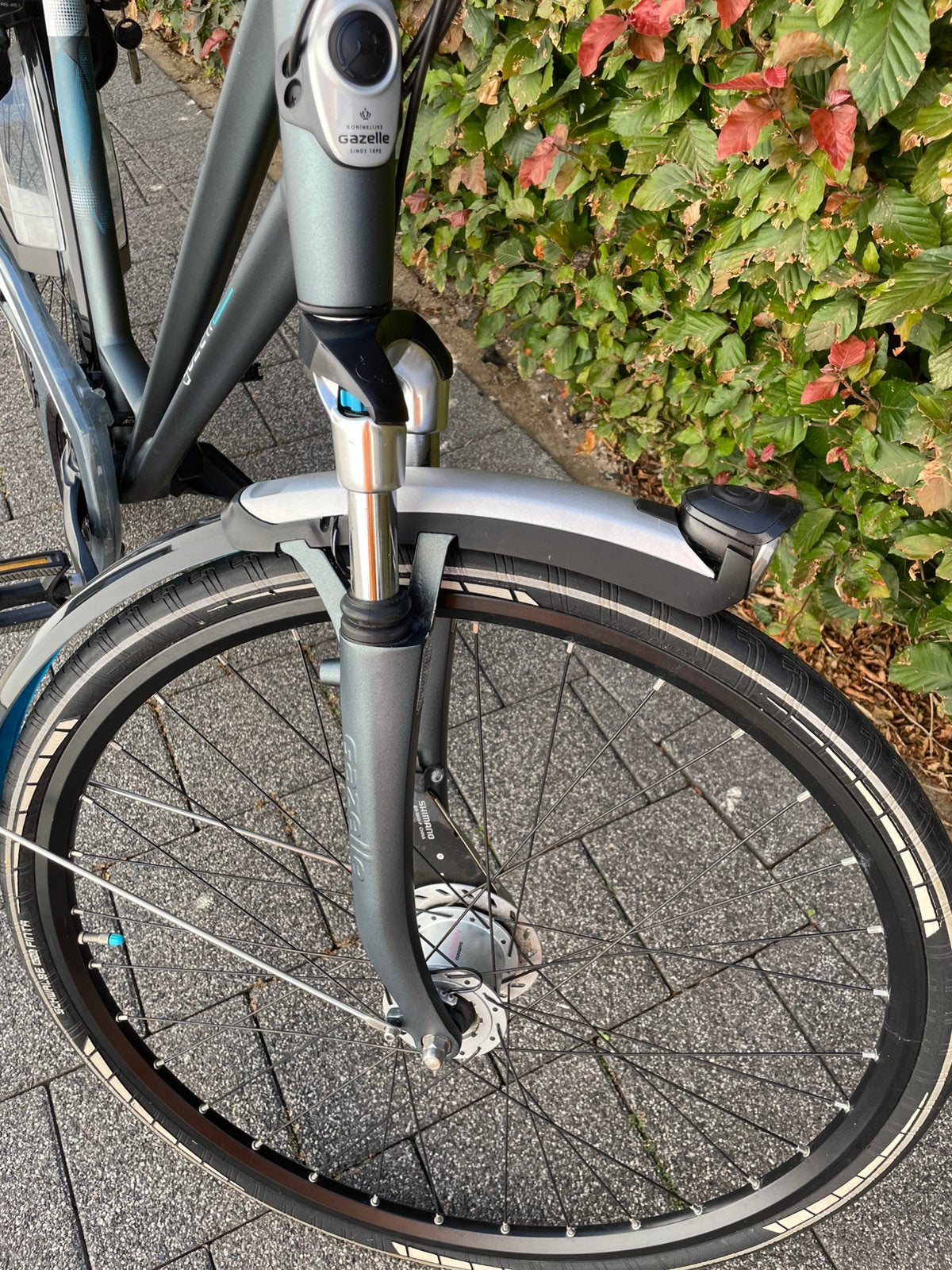 Gazelle Eclips limited edition 61cm frame, Fietsen en Brommers, Fietsen | Dames | Damesfietsen, Ophalen, Gebruikt, Versnellingen