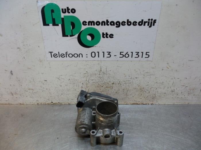 Boîtier accélérateur d'un Volkswagen Fox (Fox 05-), Volkswagen, -, 3 mois de garantie, Utilisé
