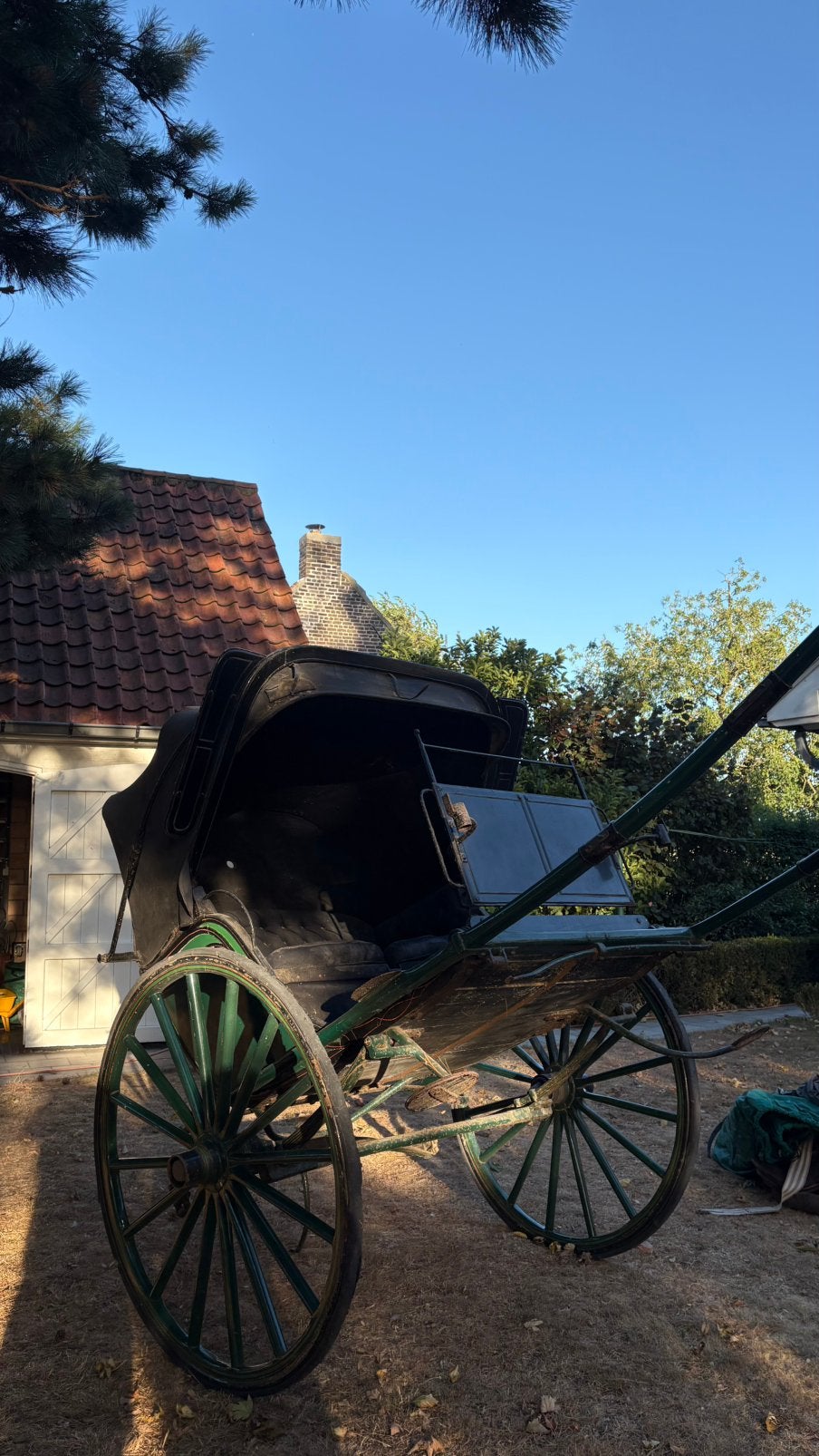 paardenkoets, Gebruikt, Wagonette, Paard