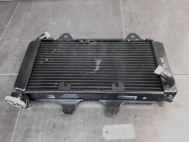 RC125 2014 - 2019 KTM Radiator D1-60156, Motoren