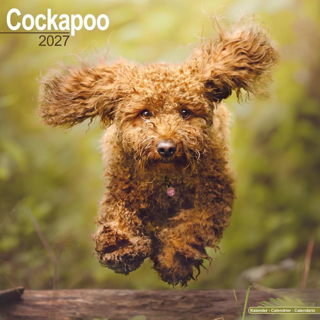 Calendrier Cockapoo 2027 en précommande, Divers, Calendriers, Neuf, Calendrier annuel, Envoi