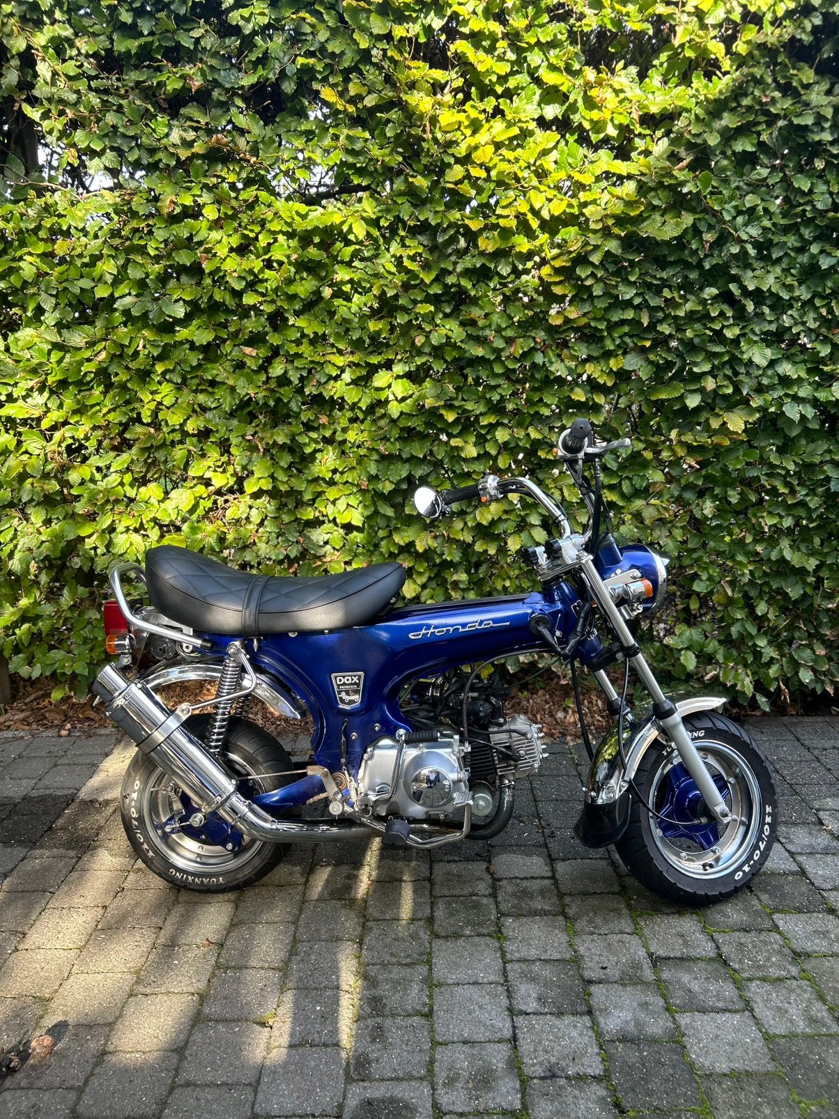 Dax Zhenhua (b klasse 50cc), 4 vitesses, Comme neuf, Classe B (45 km/h), Enlèvement