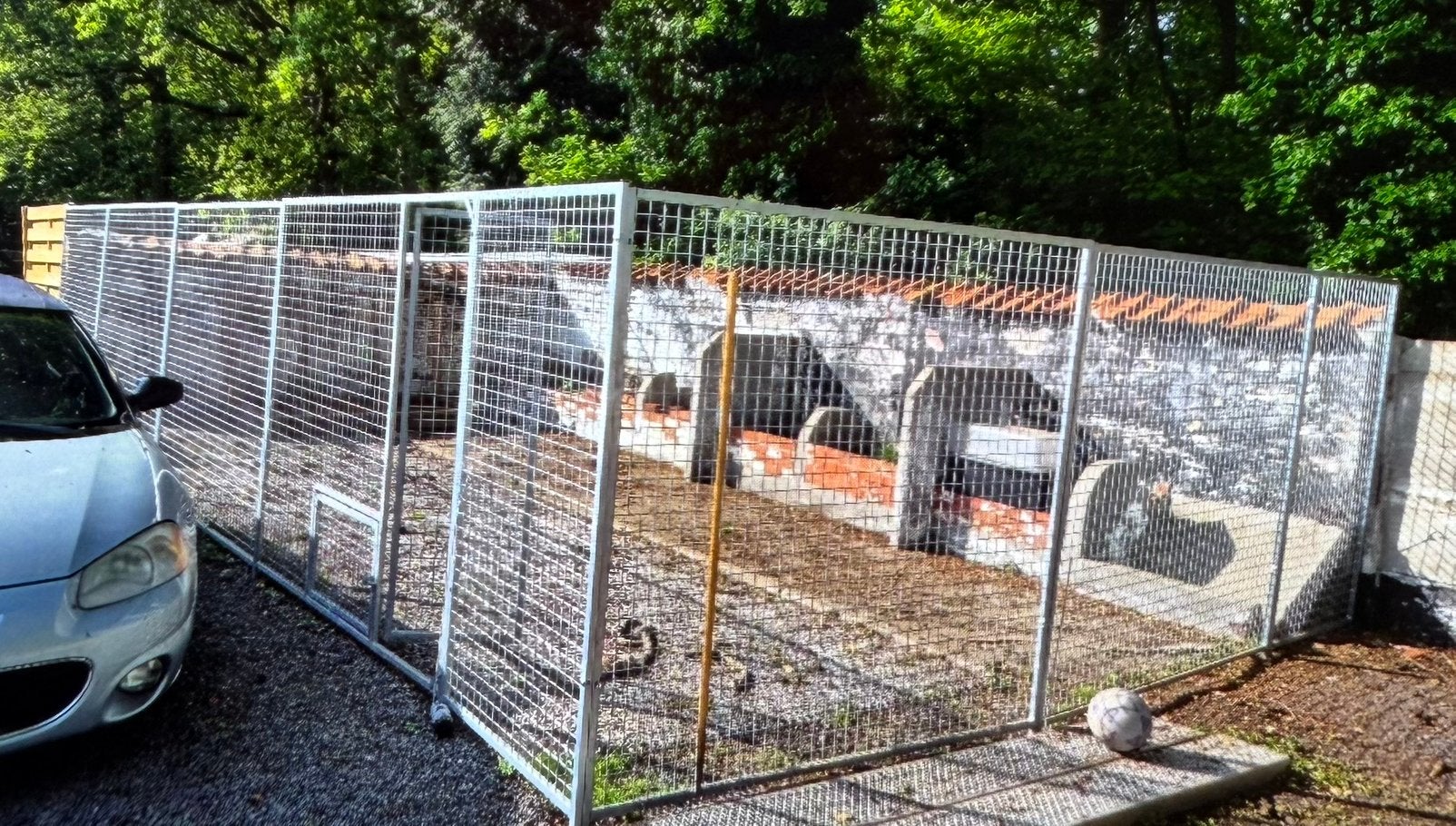 Chiens et, Animaux & Accessoires, Enlèvement, Comme neuf