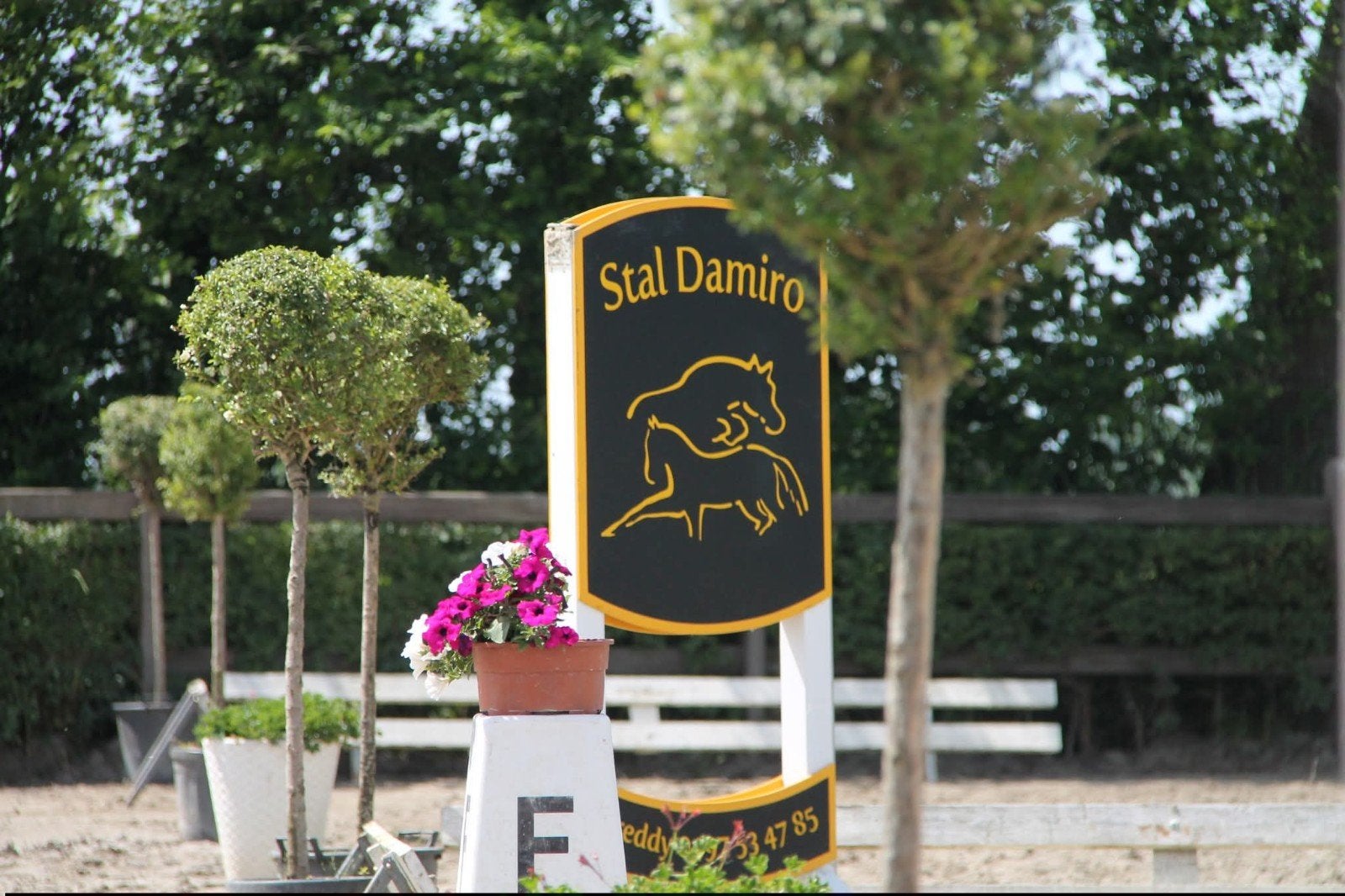 stalling,pension,Pensionstalling,stal,manege,, Dieren en Toebehoren, Paarden