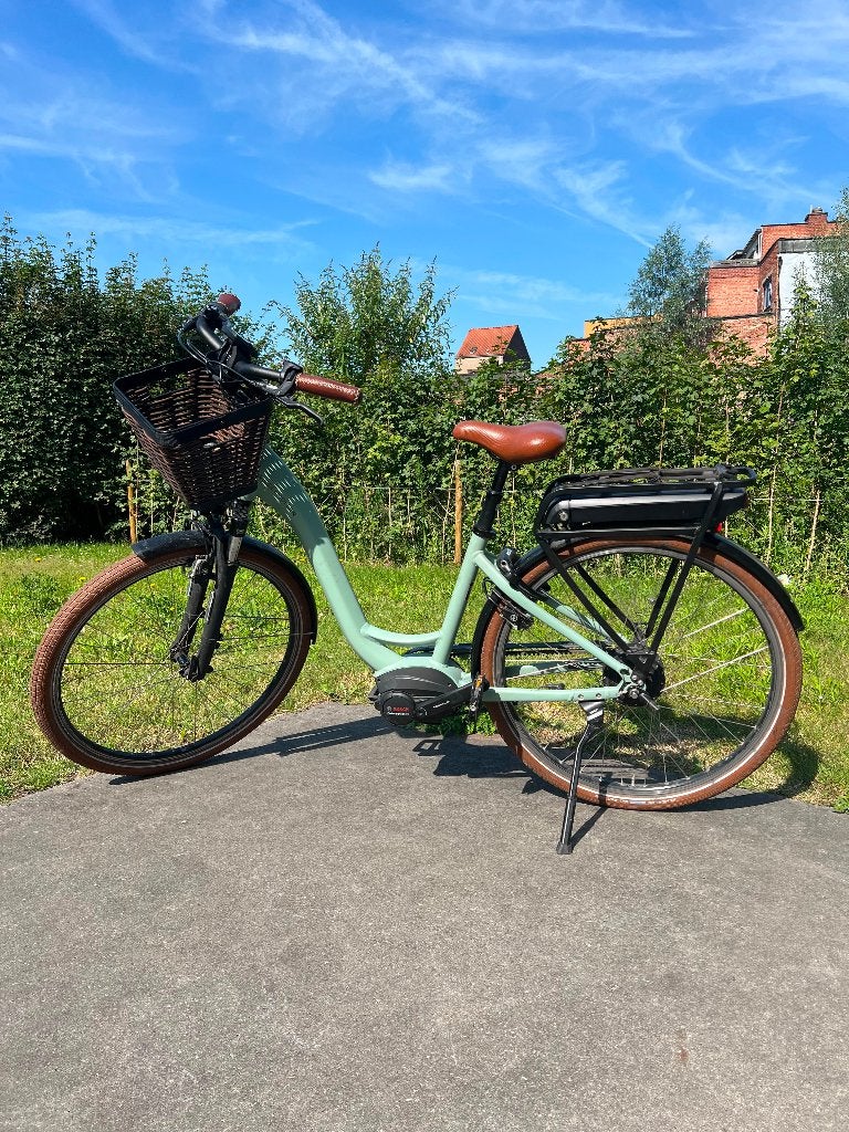 Elekrtische fiets Riese & Müller - Swing Vario, Fietsen en Brommers, Gebruikt, Minder dan 47 cm, 50 km per accu of meer, Ophalen