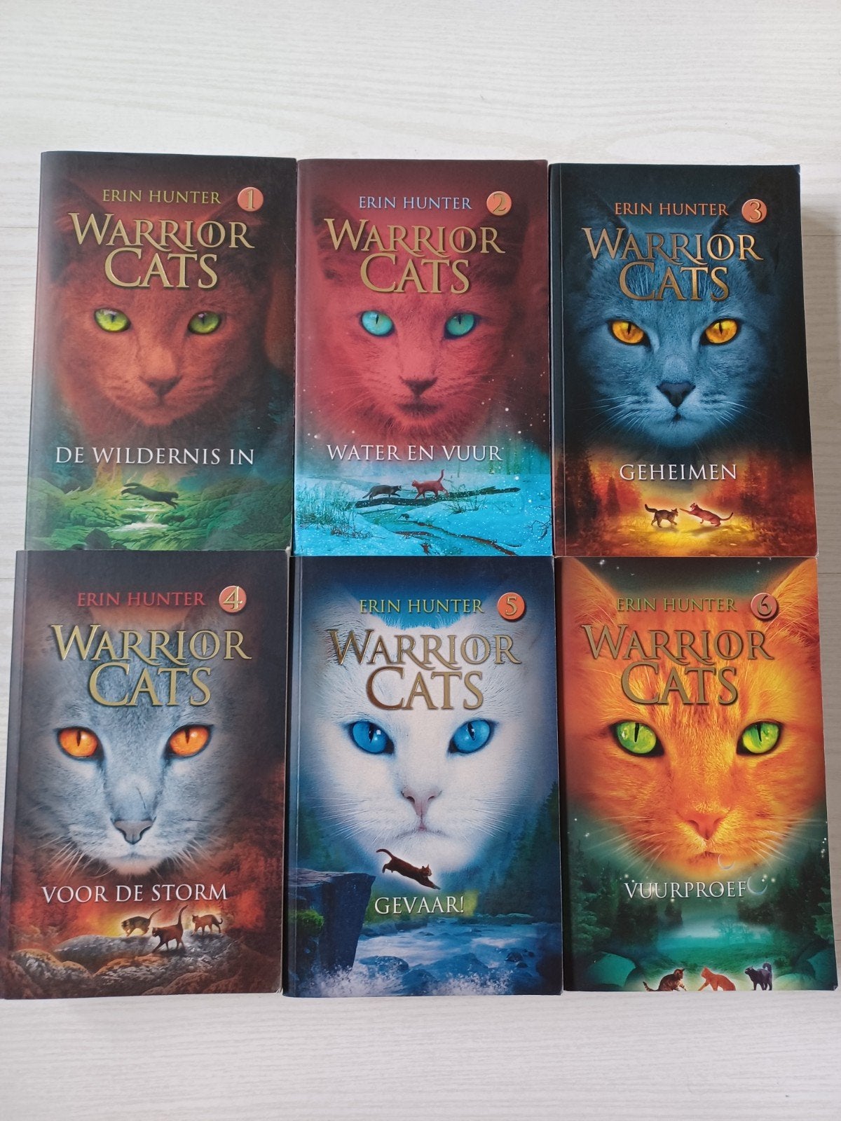 Warrior Cats serie 1, Boeken, Ophalen of Verzenden, Zo goed als nieuw, Erin Hunter