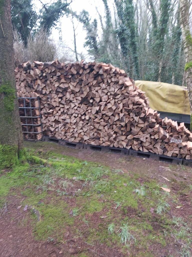brandhout beuk en eik, 6 m³ of meer, Ophalen, Beukenhout, Blokken