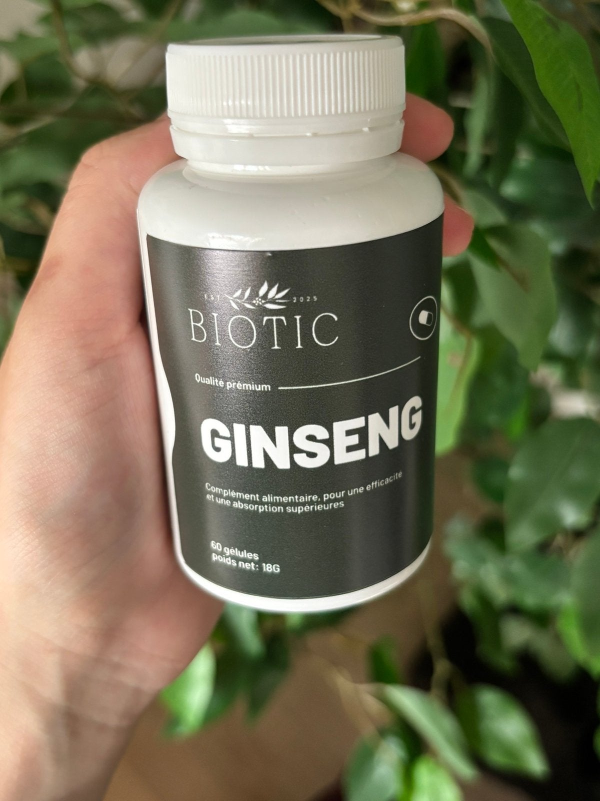 Gélules Ginseng, Enlèvement ou Envoi, Neuf, Poudre ou Boisson