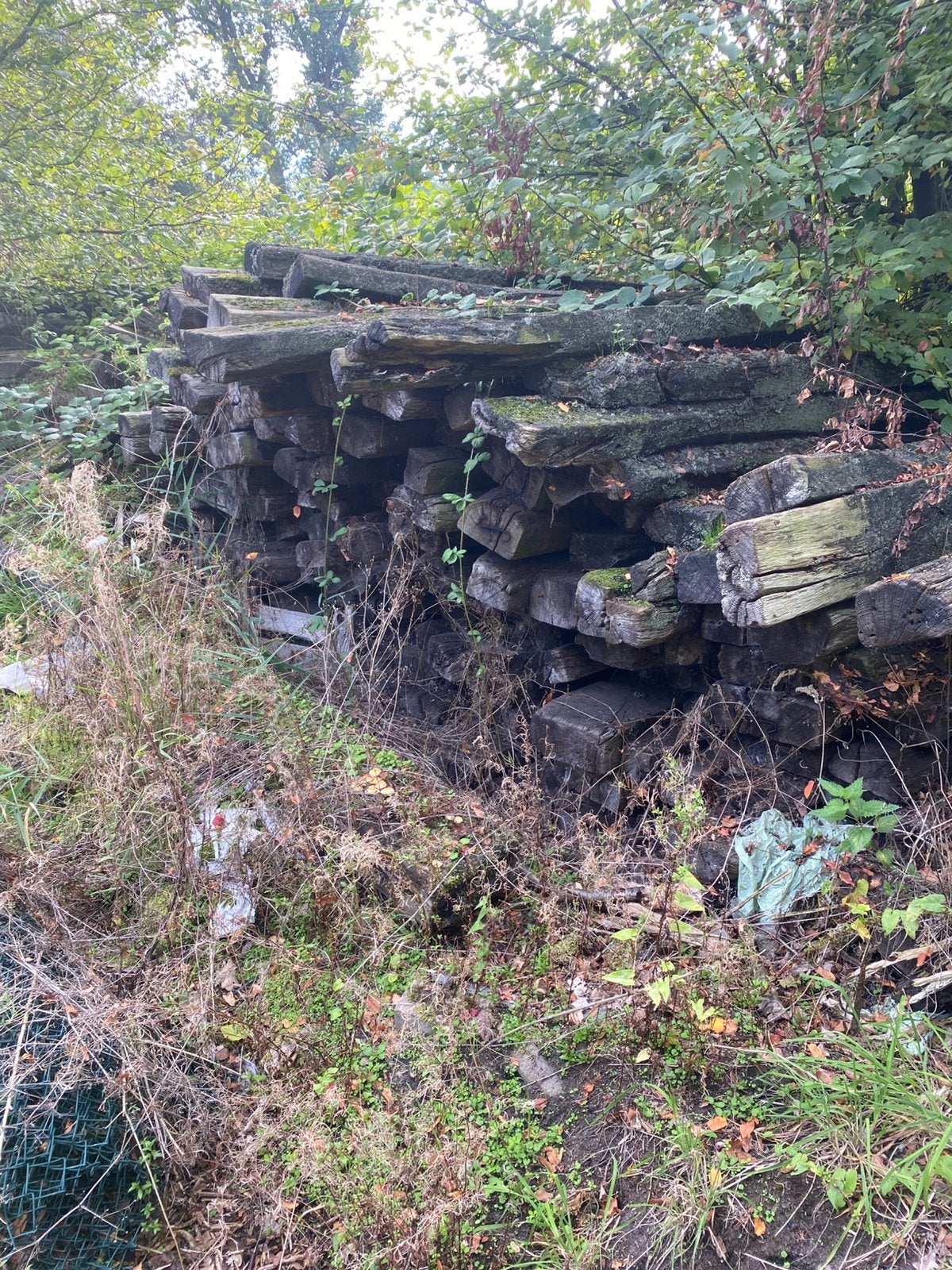 Treinbielzen, Enlèvement