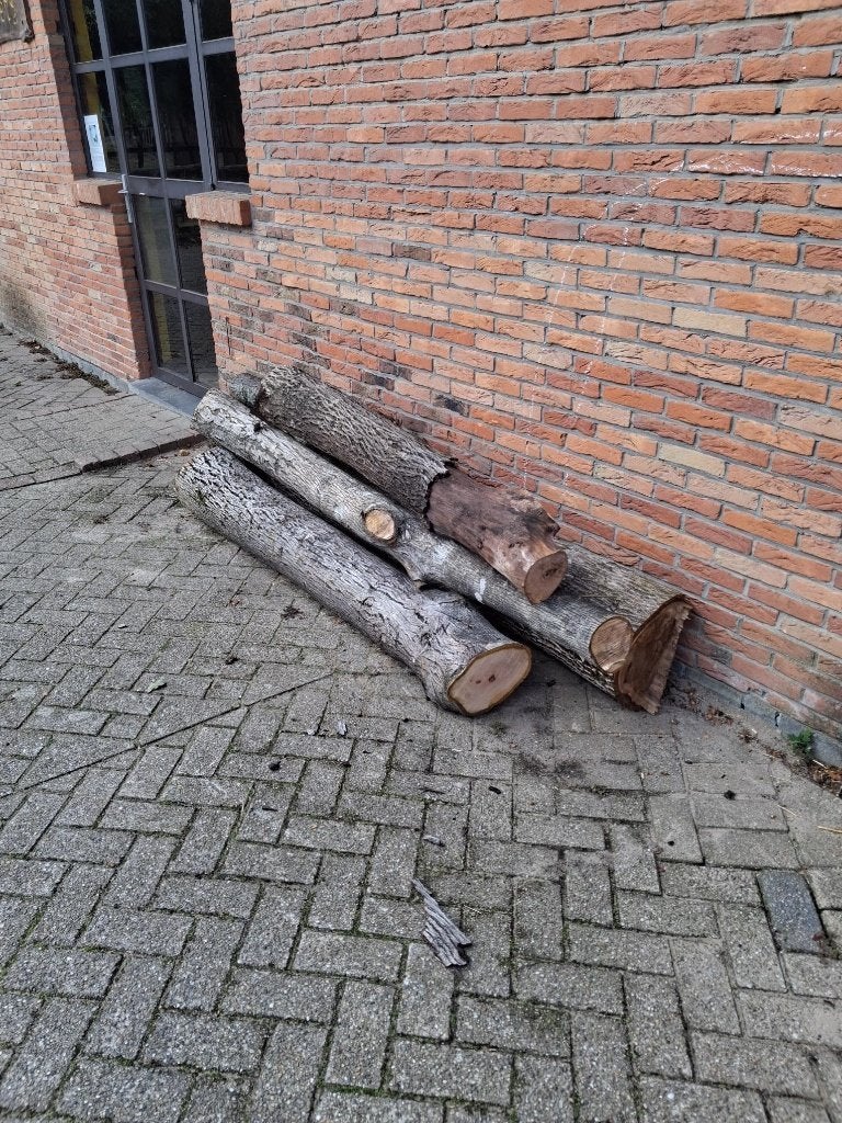 notenhout, Enlèvement, Autres essences de bois