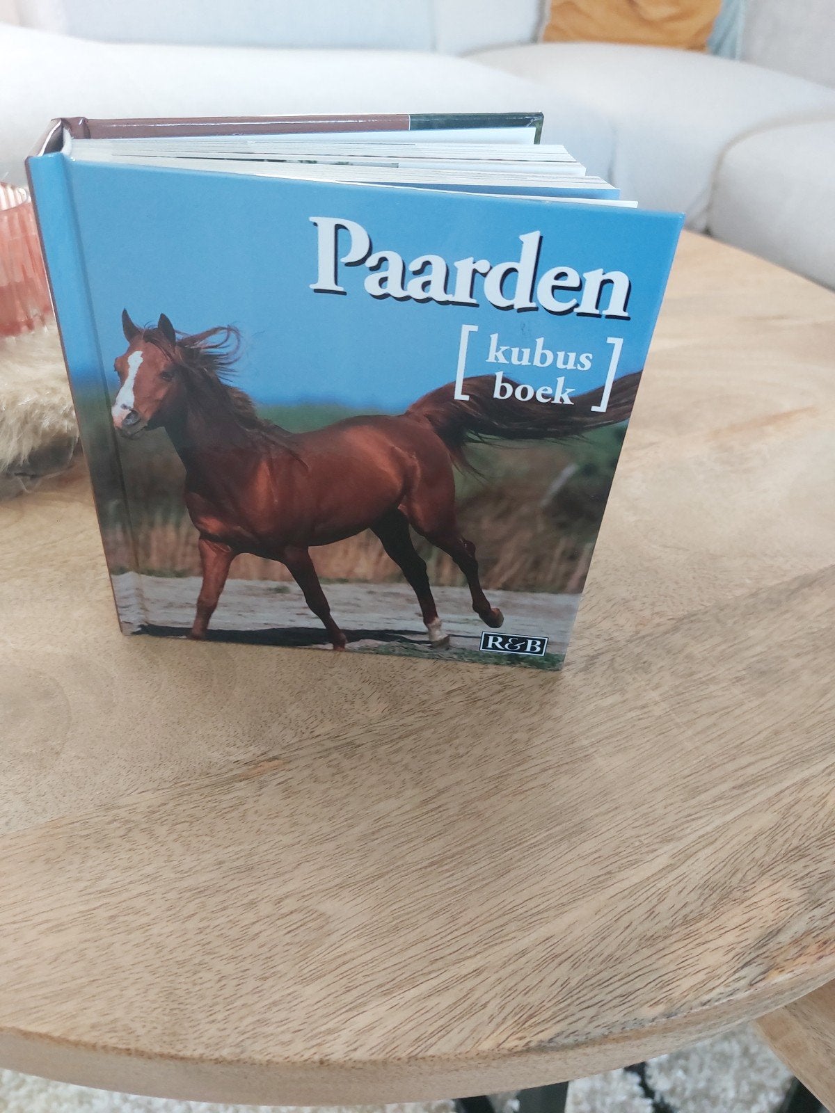 paarden kubus boek ,nieuw, Livres, Nature, Enlèvement ou Envoi