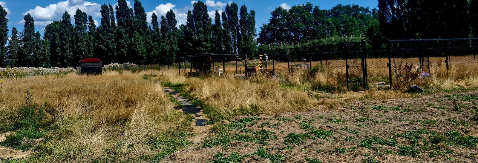 Clôture vieille de 2 ans en bon état, Enlèvement