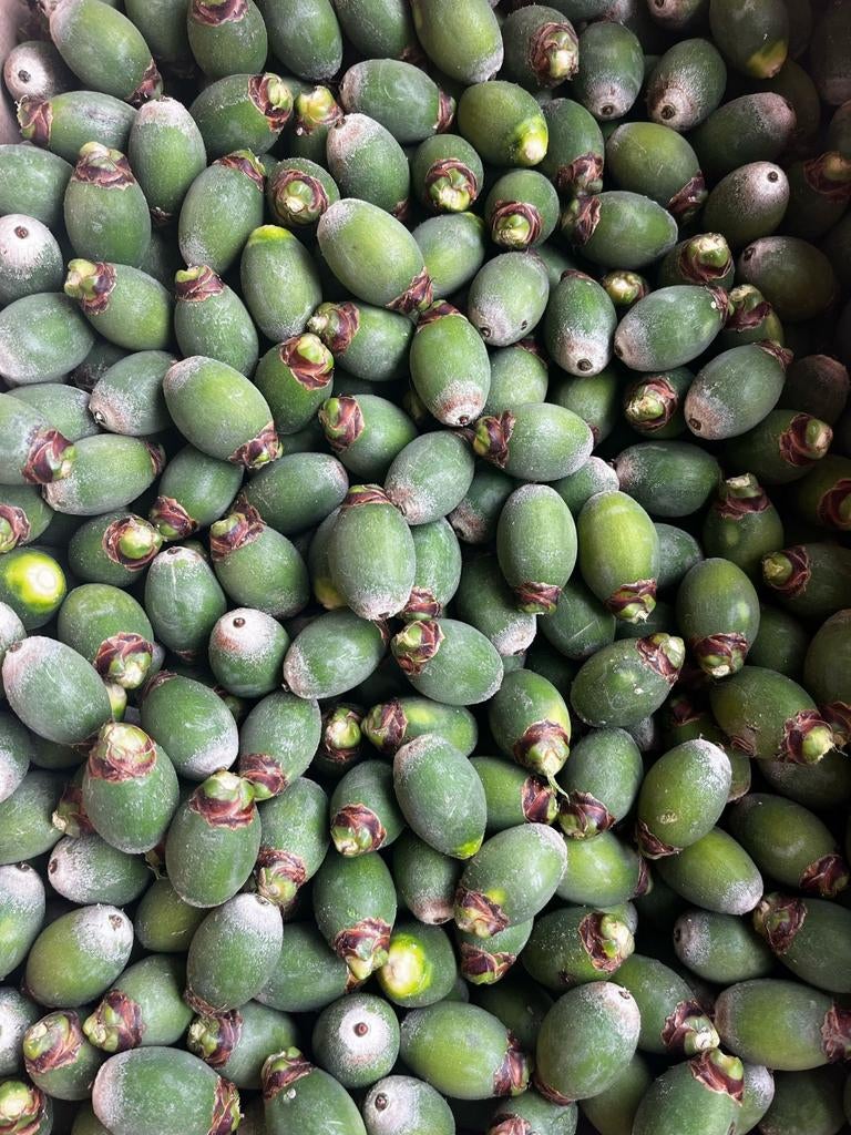 Palmnoten Palmnoten voor Ara's, grijze roodstaarten enz
18€, Dieren en Toebehoren, Ophalen