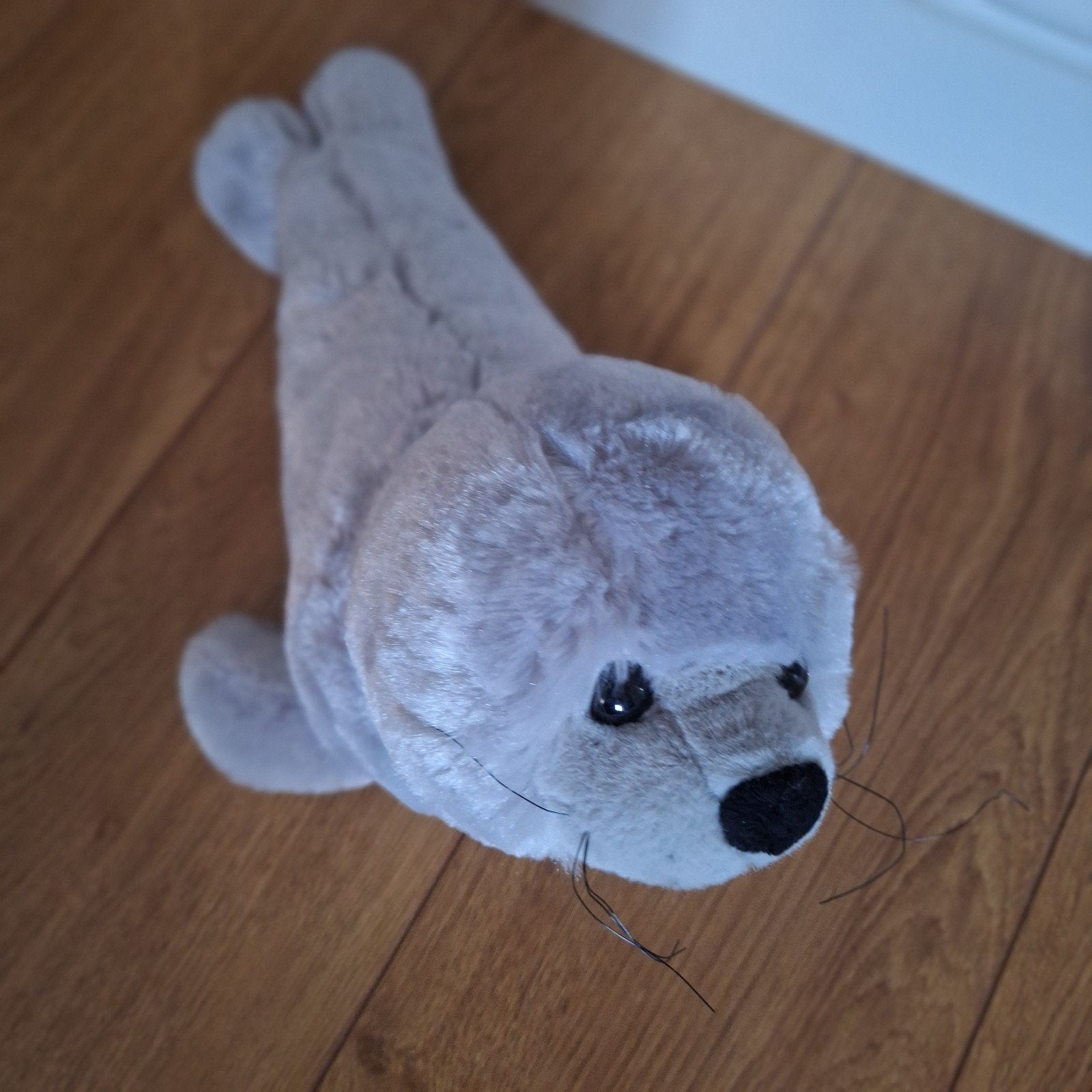 Knuffel (zeehond), Ophalen