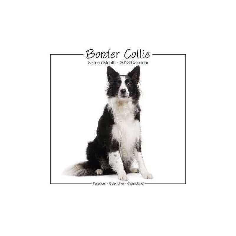 Border Collie-kalender 2018, Ophalen of Verzenden, Jaarkalender, Nieuw