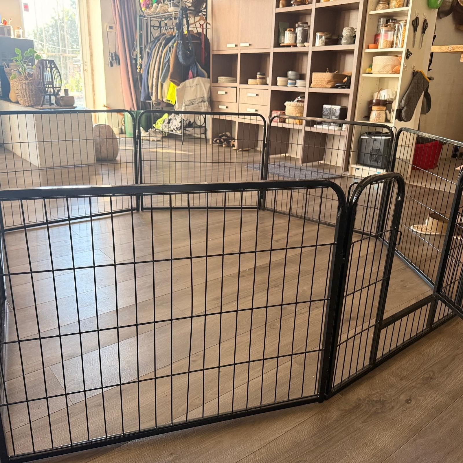 puppy ren, Dieren en Toebehoren, Ophalen of Verzenden, Nieuw