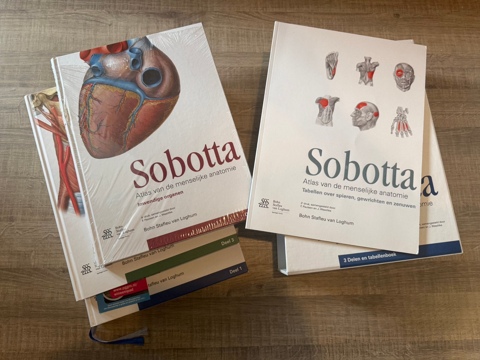 Sobotta 3 delen + skelet, Ophalen, Zo goed als nieuw