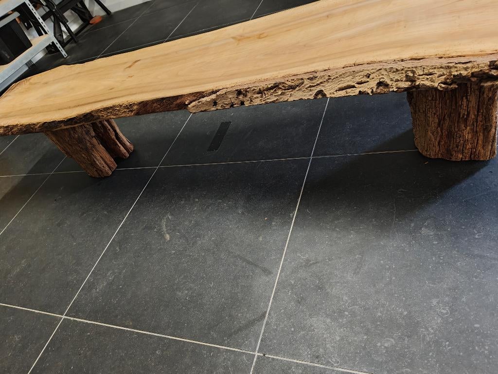Boomstam salontafel, Huis en Inrichting, Tafels | Salontafels, Ophalen, Minder dan 50 cm, Gebruikt, 150 tot 200 cm