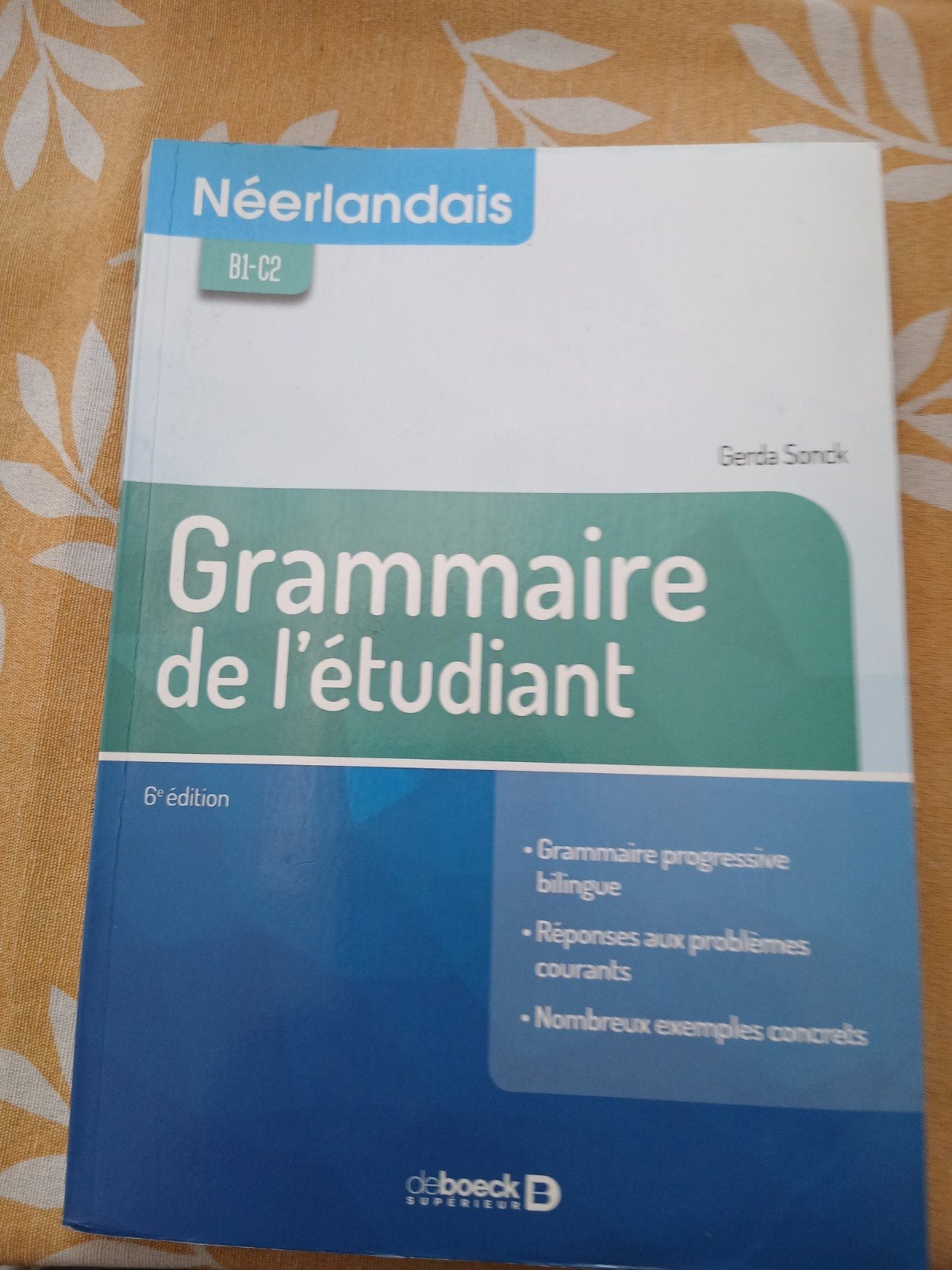 Grammaire de l'étudiant, Livres, Livres scolaires, Enlèvement ou Envoi, Néerlandais