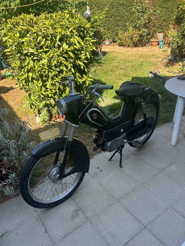 Berini m21, Enlèvement