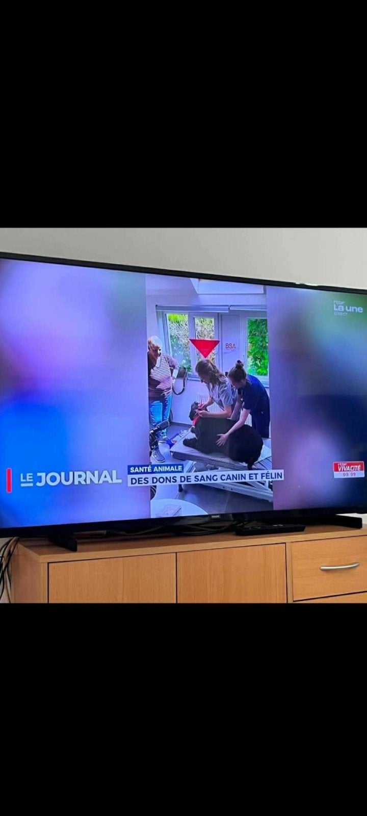 Smart tv 50 pouces, Philips, Smart TV