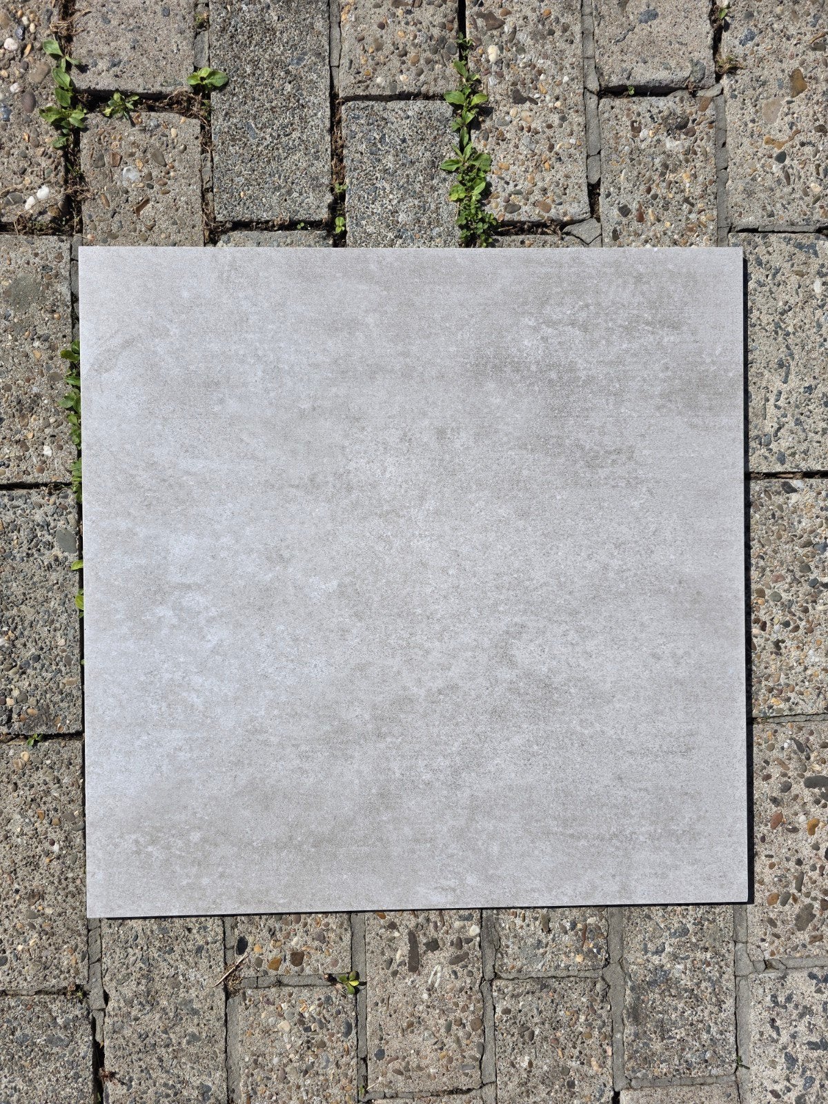 vloertegels binnen 60x60cm, Doe-het-zelf en Bouw, Tegels, Ophalen, 60 cm of meer, 60 cm of meer, Nieuw