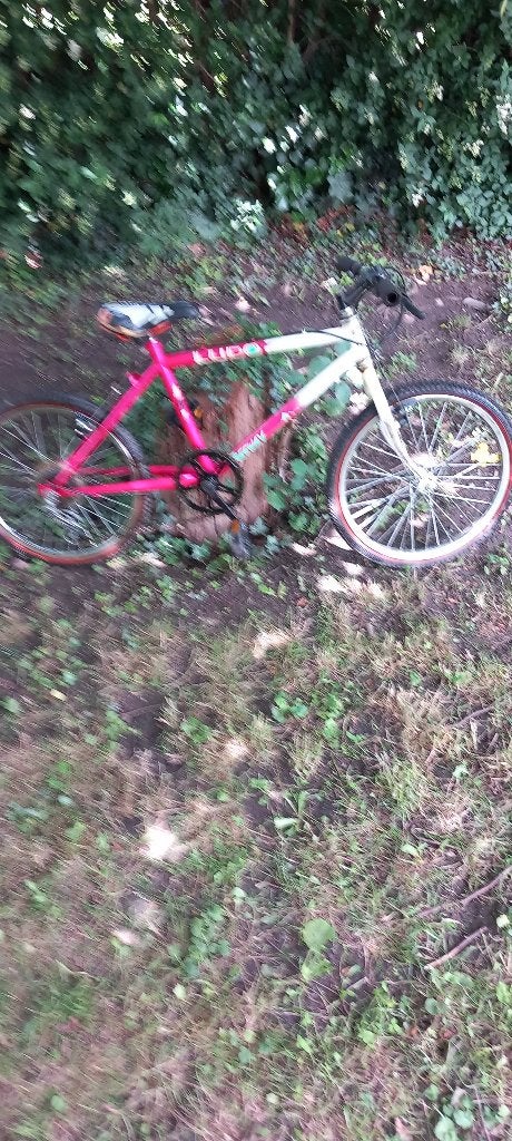 Vélo pour enfant, Enlèvement, Utilisé