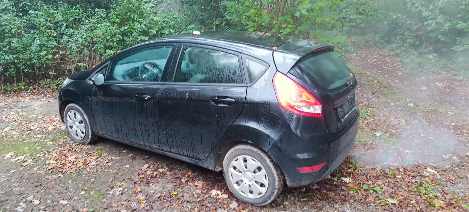 Ford Fiesta 2009, Autos, Achat, Boîte manuelle, 5 portes, Diesel