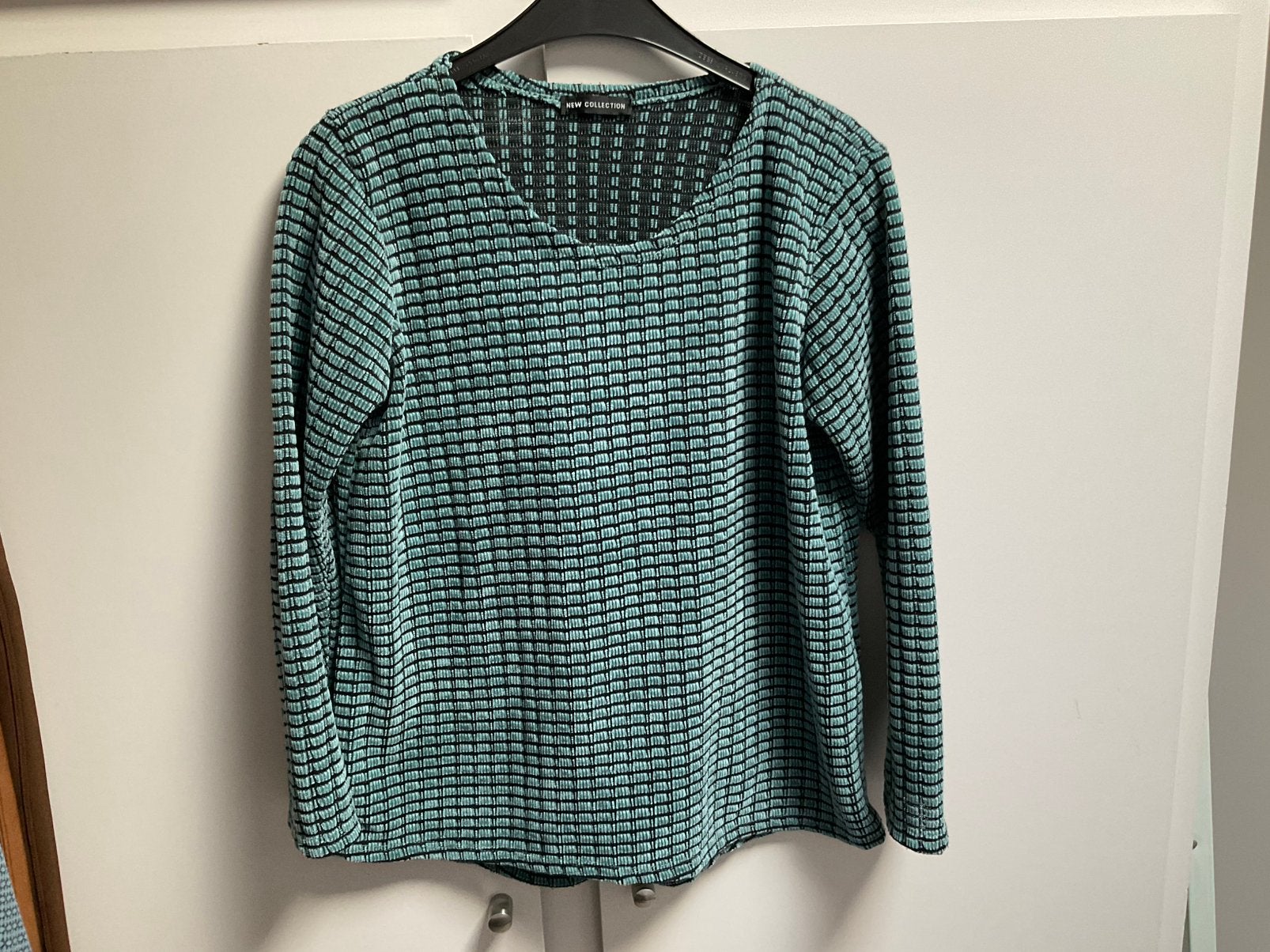 Damestrui New collection maat 40, Kleding | Dames, Truien en Vesten, Ophalen of Verzenden, Zo goed als nieuw, Maat 38/40 (M)