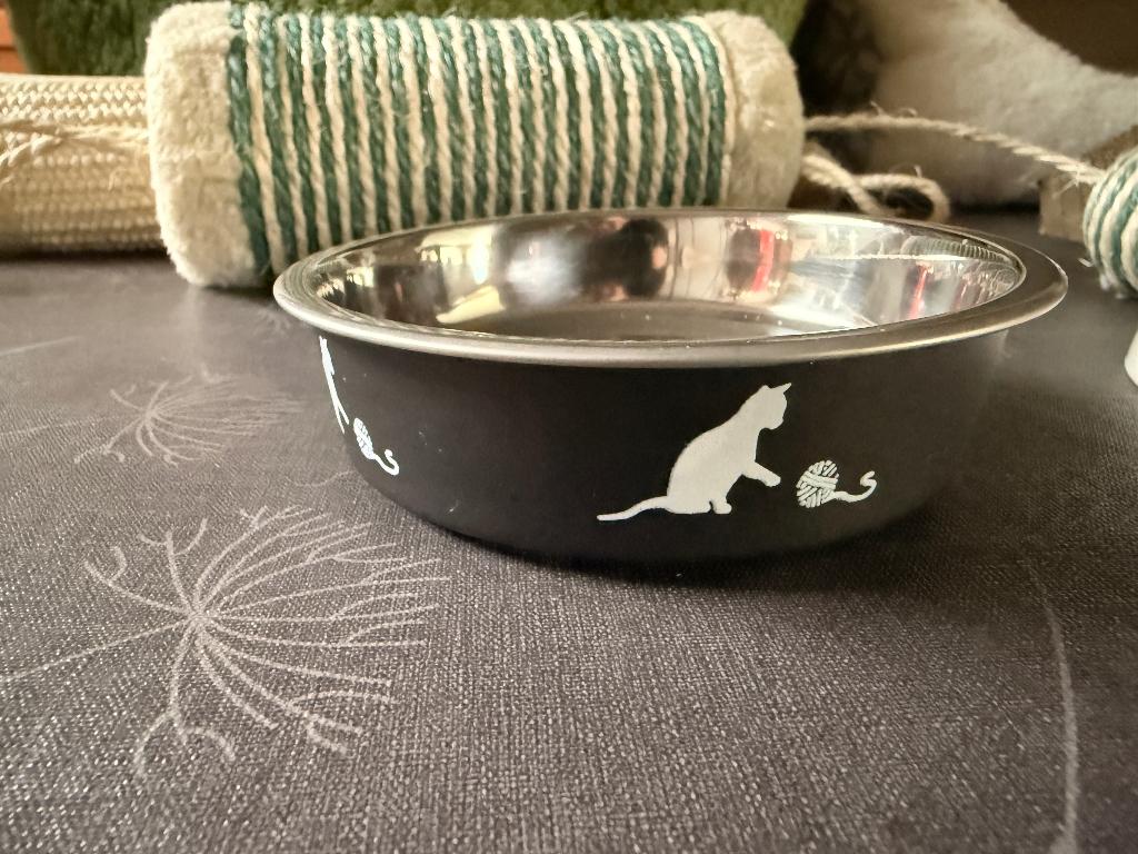 Klein eetbakje met katjes, Ophalen of Verzenden, Zo goed als nieuw