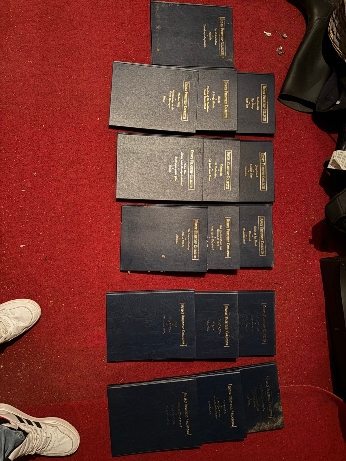 Verschillende boeken van Disney, Boeken, Ophalen of Verzenden, Zo goed als nieuw
