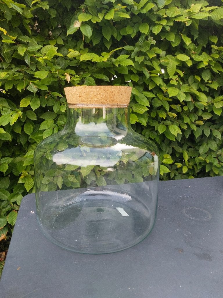 Planten terrarium vaas, Ophalen, Zo goed als nieuw