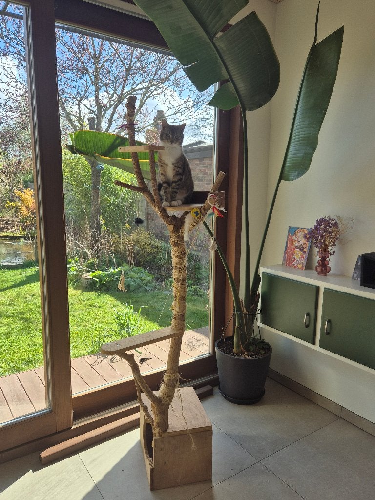 Katten speelboom, Dieren en Toebehoren, Ophalen