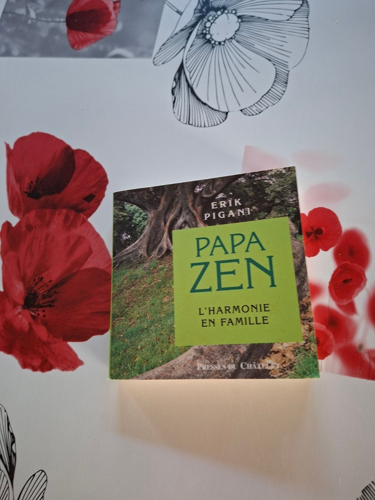 Pap Zen. Erik Pigani., Ophalen of Verzenden