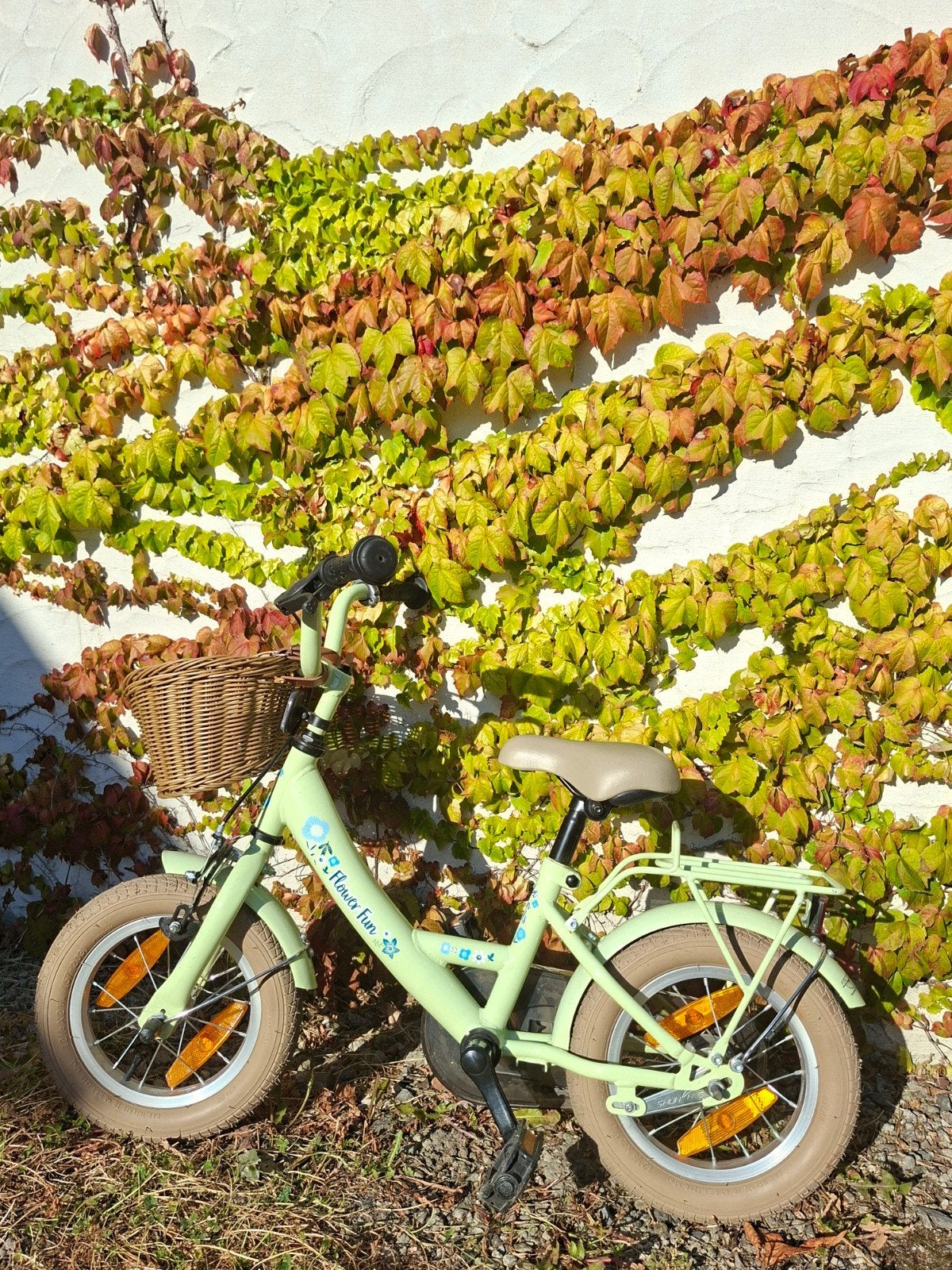 Kinderfietsje 12 inch - Nieuw gekocht/Gebruikt voor één kind, Fietsen en Brommers, Ophalen, Terugtraprem, Zijwieltjes, Flower Fun