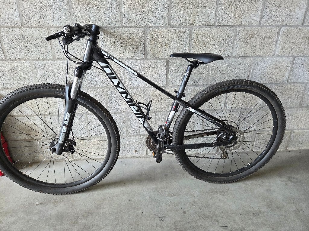 MTB, Fietsen en Brommers, Gebruikt, Heren, Schijfrem, Ophalen