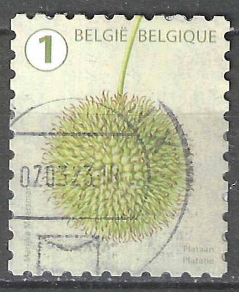 Belgie 2021 - Yvert 5014 /OBP 5028 - Boomvruchten (ST), Verzenden, Gestempeld, Gestempeld
