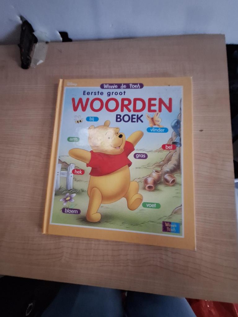 boek eerste groot woordenboek winnie de poeh, Boeken, Ophalen of Verzenden, Zo goed als nieuw
