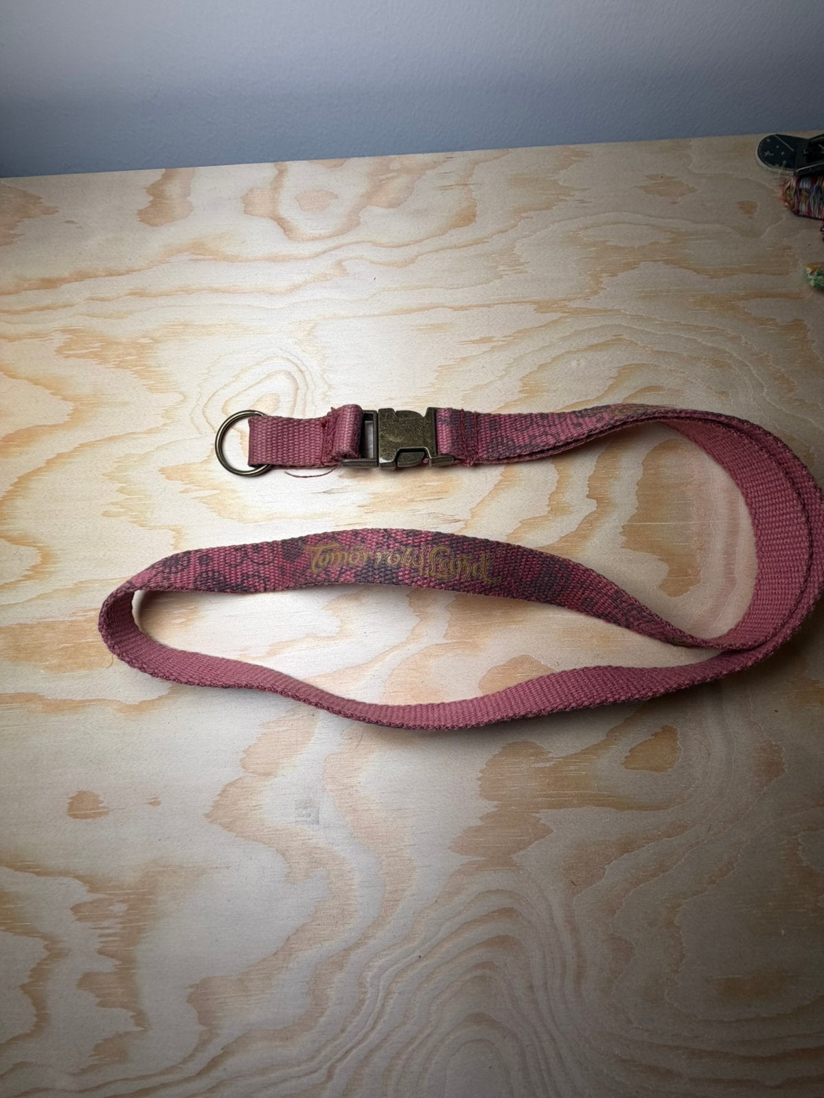 Lanyard Tomorrowland, Verzamelen, Ophalen of Verzenden, Gebruikt