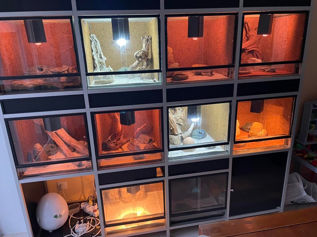 Terrarium stelling 10 maal 50 op 50, Dieren en Toebehoren, Ophalen, Gebruikt, Terrarium of Paludarium