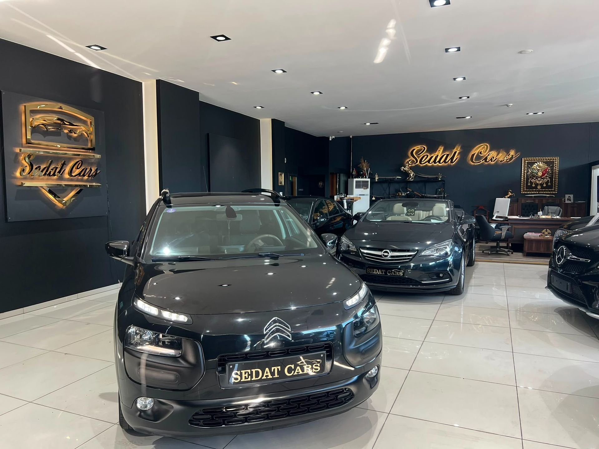 Citroen C4 Cactus, Autos, 118 g/km, Achat, Entreprise, 5 portes
