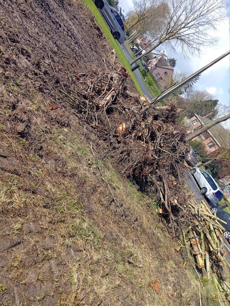Gratis, Tuin en Terras, Ophalen