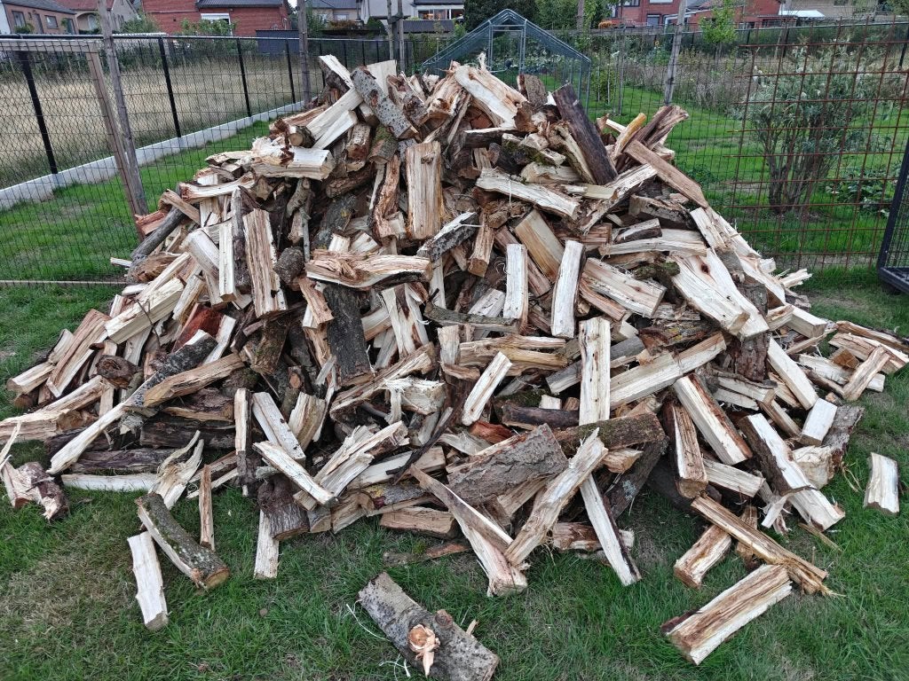 Brandhout populier, Tuin en Terras, 6 m³ of meer, Ophalen, Overige houtsoorten, Blokken