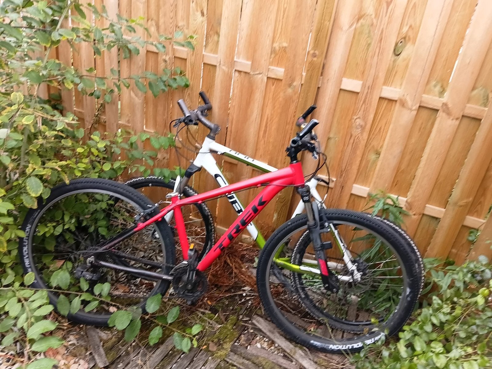 Enkel de rode trek is nog beschikbaar, Gebruikt, 57 cm of meer, Hardtail, Heren