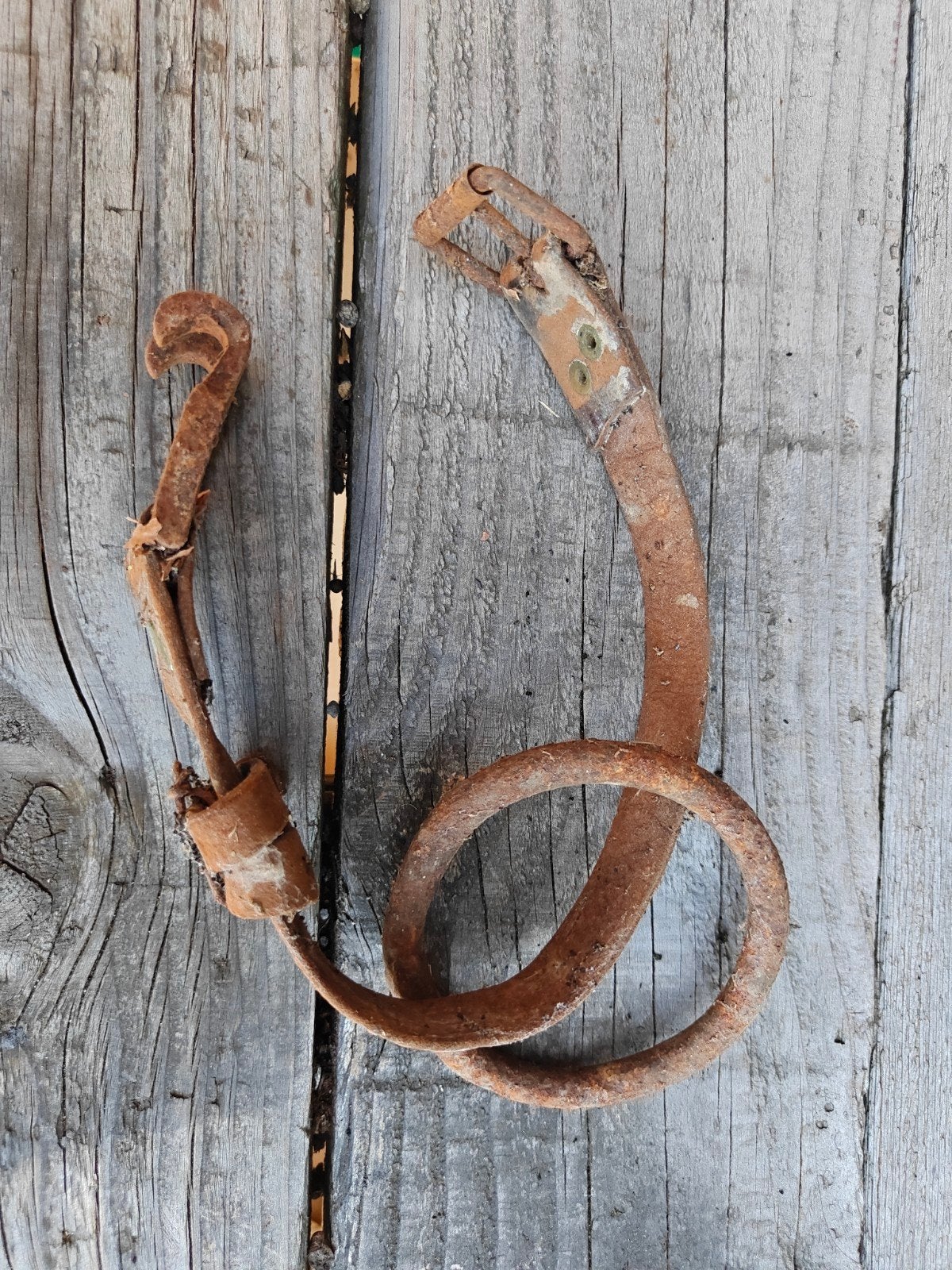 Riem van gareel?, Ophalen of Verzenden