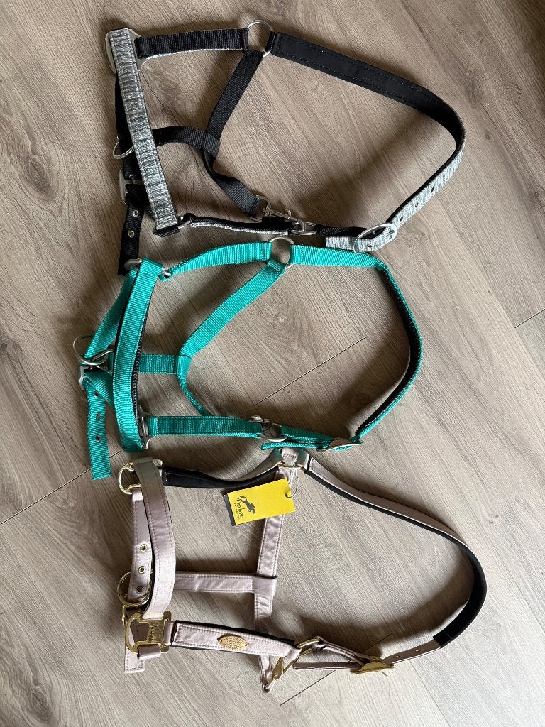 Halster, Dieren en Toebehoren, Ophalen, Nieuw, Pony, Blauw