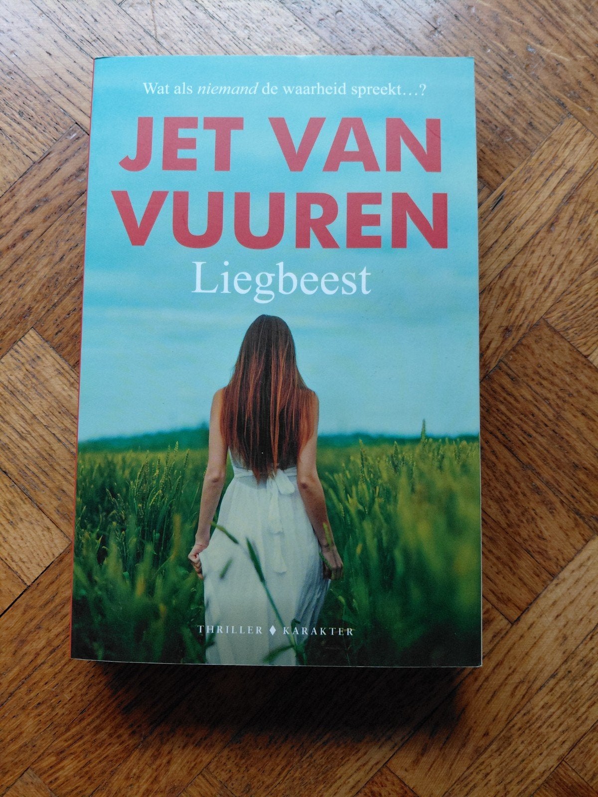Jet van Vuuren: Liegbeest, Boeken, Thrillers, Gelezen, Ophalen of Verzenden