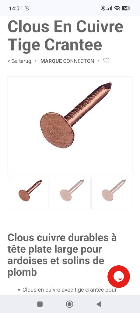 Clou cuivre 1kg  (3cm), Enlèvement, Neuf, Cuivre, Autres types