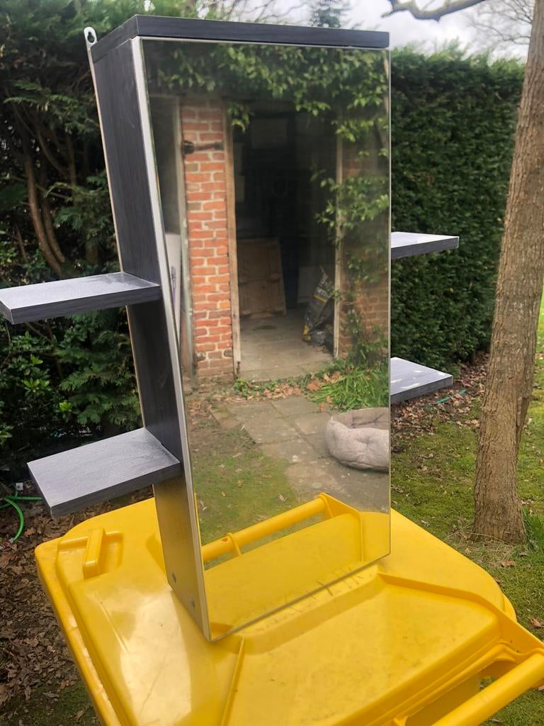 Badkamerspiegel, Moins de 100 cm, Enlèvement, Utilisé, 50 à 75 cm